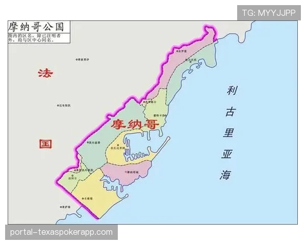 摩纳哥后防线在关键战役中的失误成本分析 摩纳哥后防线在关键战役中的失误成本分析